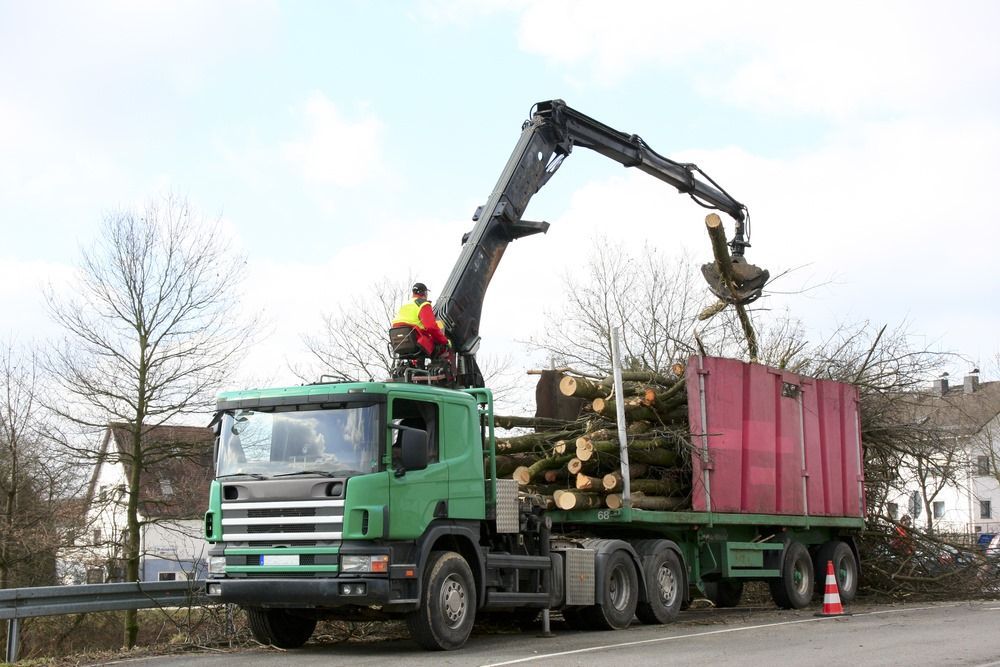 A Green Truck is Carrying Logs on a Trailer — Trucking Crane Trucks in Caboolture, QLD