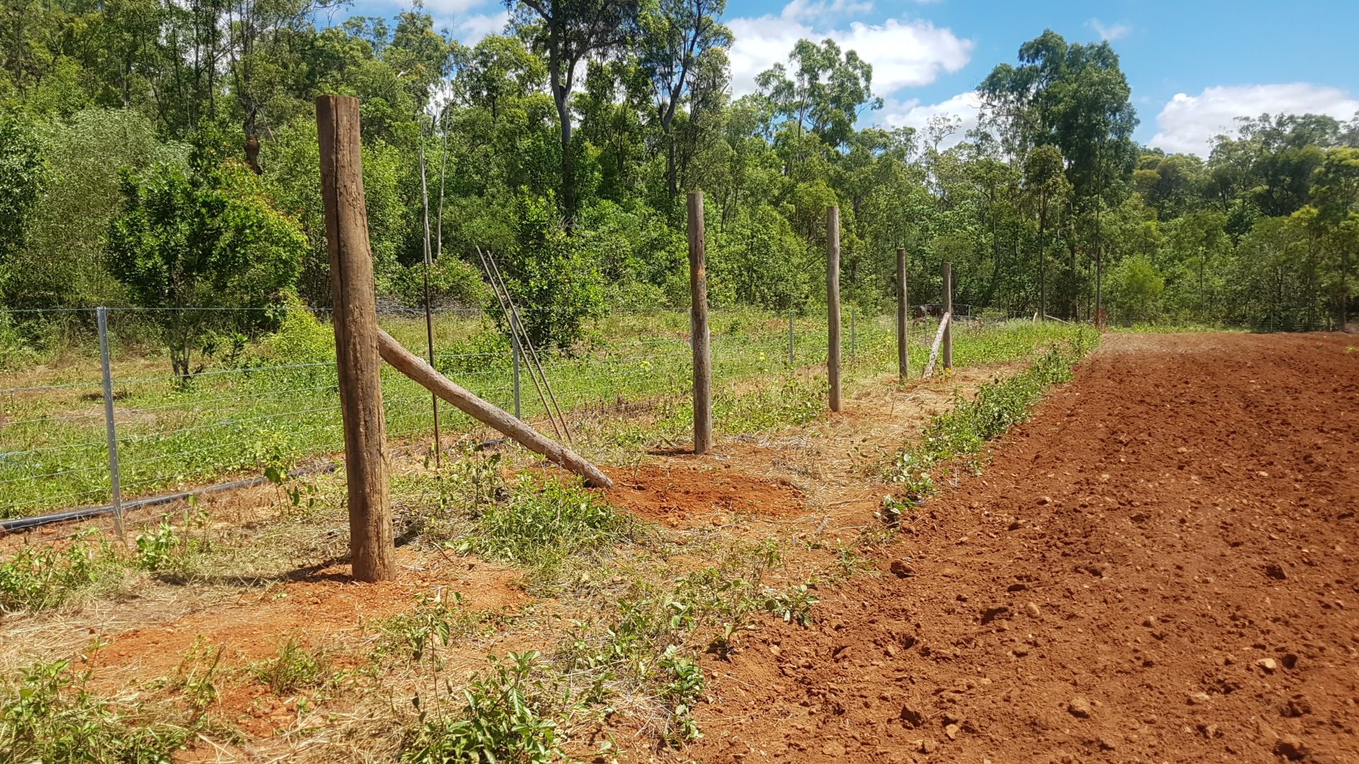 An Excavator Is Loading a Dump Truck with Rocks in A Quarry — Mike Barlow Earthmoving Pty Ltd in Gladstone, QLD