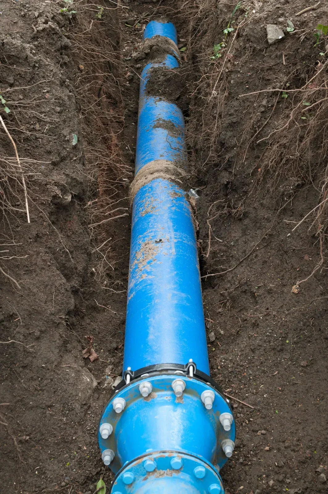 A blue pipe is sitting in the dirt in the ground.