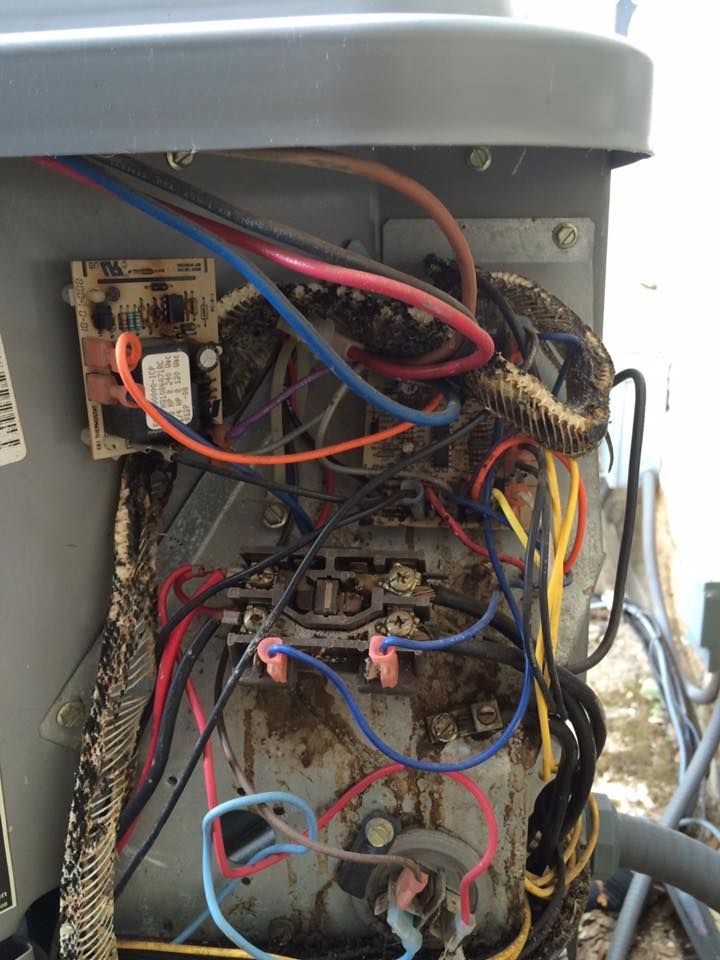 A bunch of wires are connected to a machine