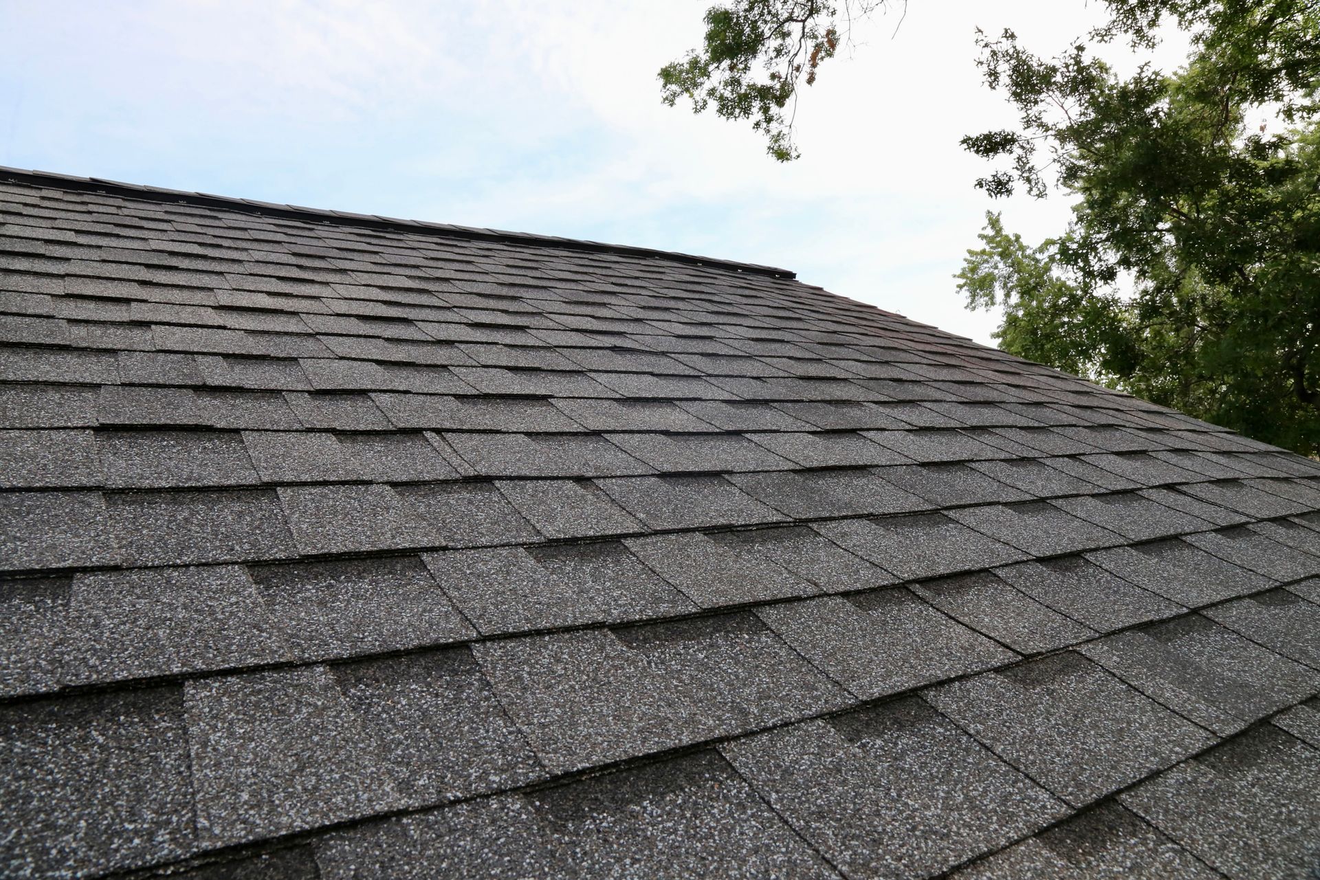 A close up of a roof with shingles and trees in the background.