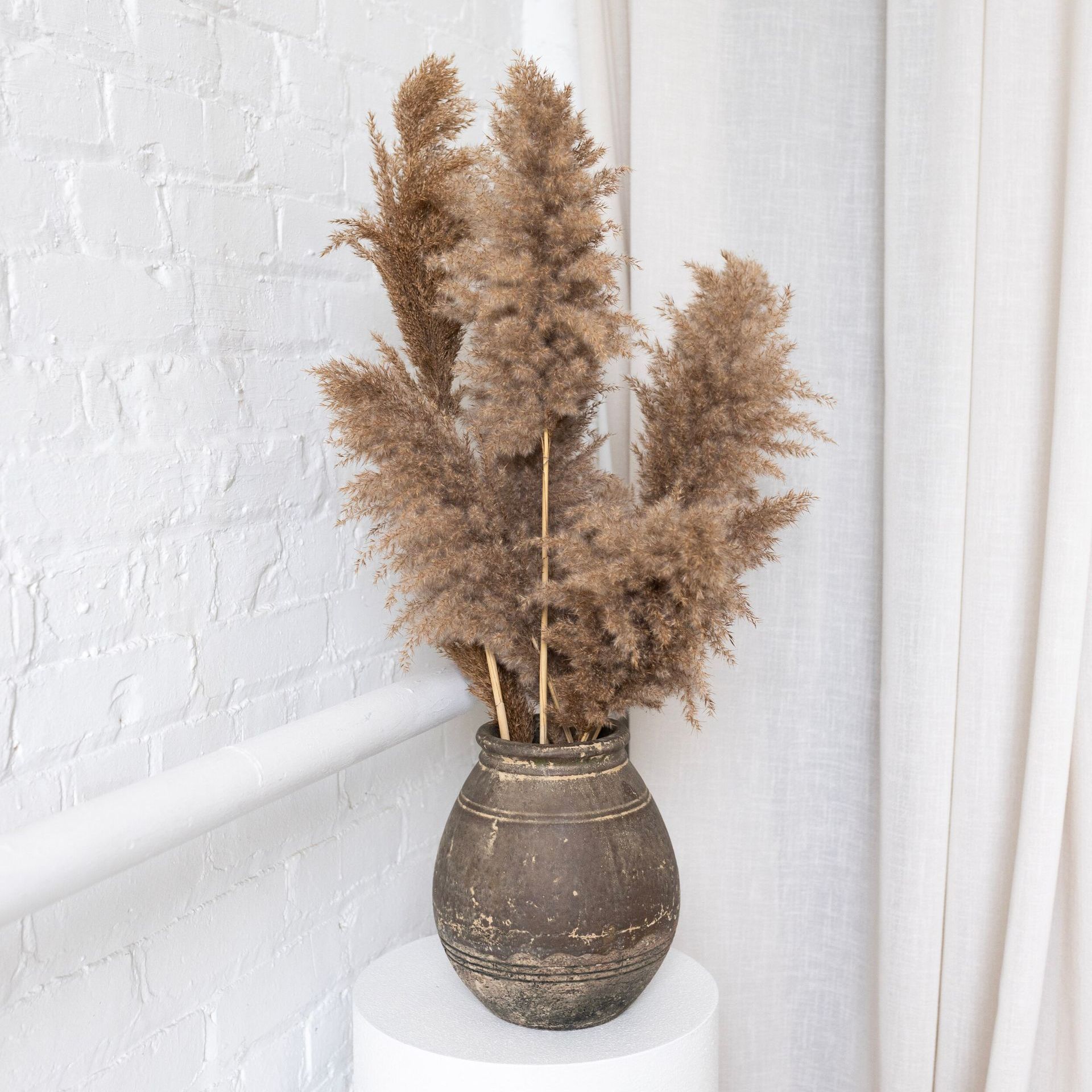 Children therapy services vase with plant