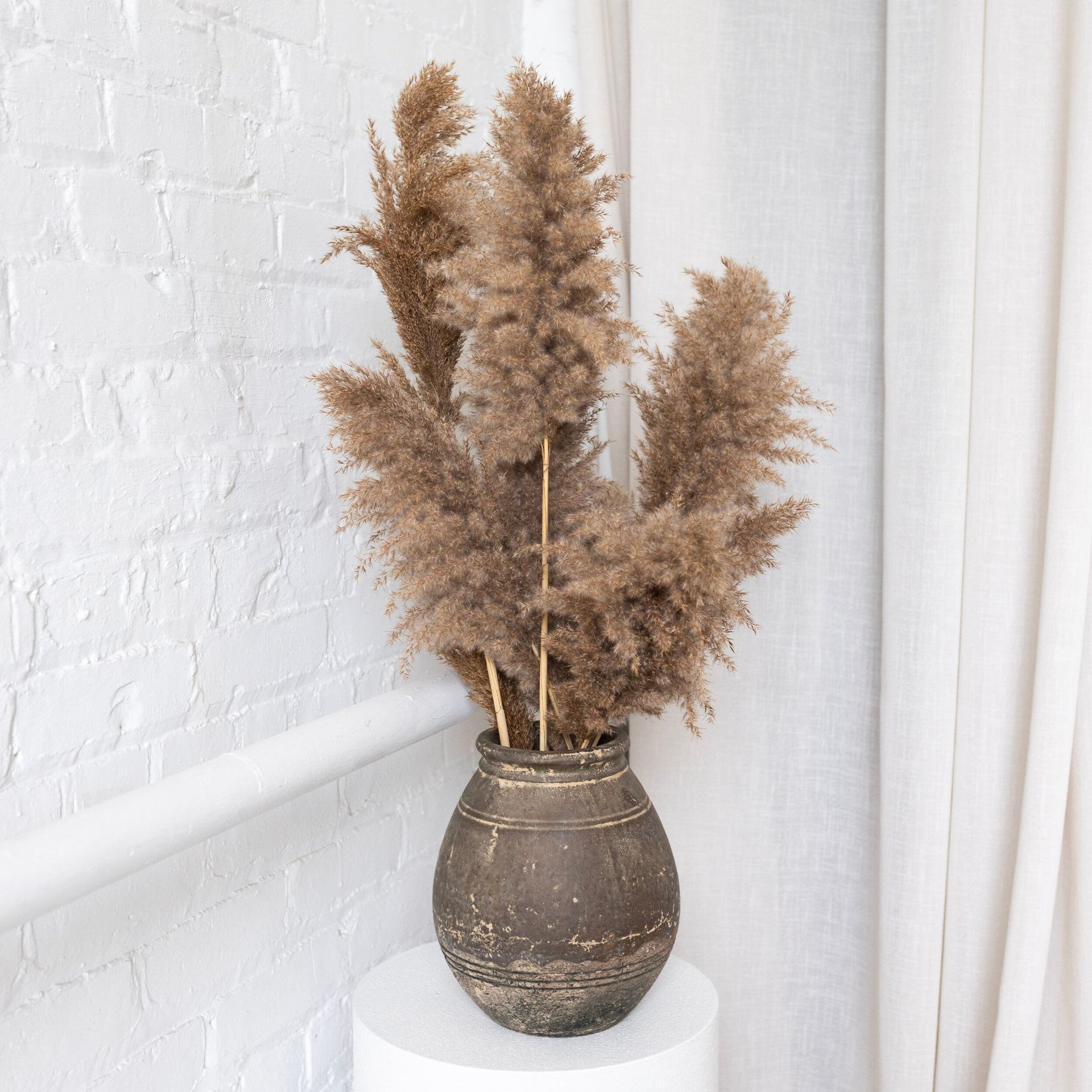 Psychotherapy Office Decor