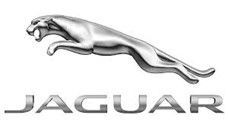Jaguar leaping car emblem, silver feline with arched back above the word 