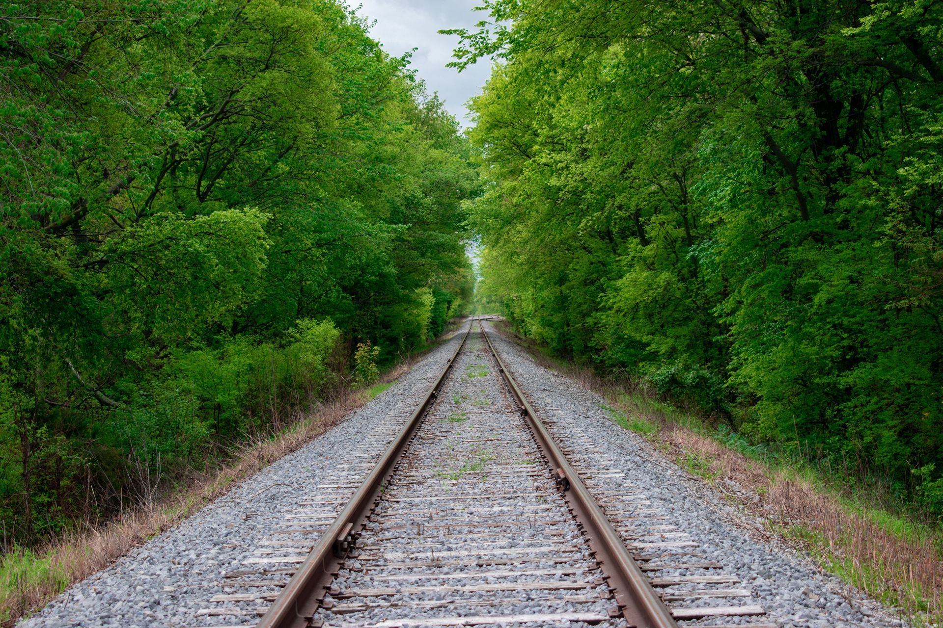 Railroad tracks running through a forest, framed by green trees on both sides.