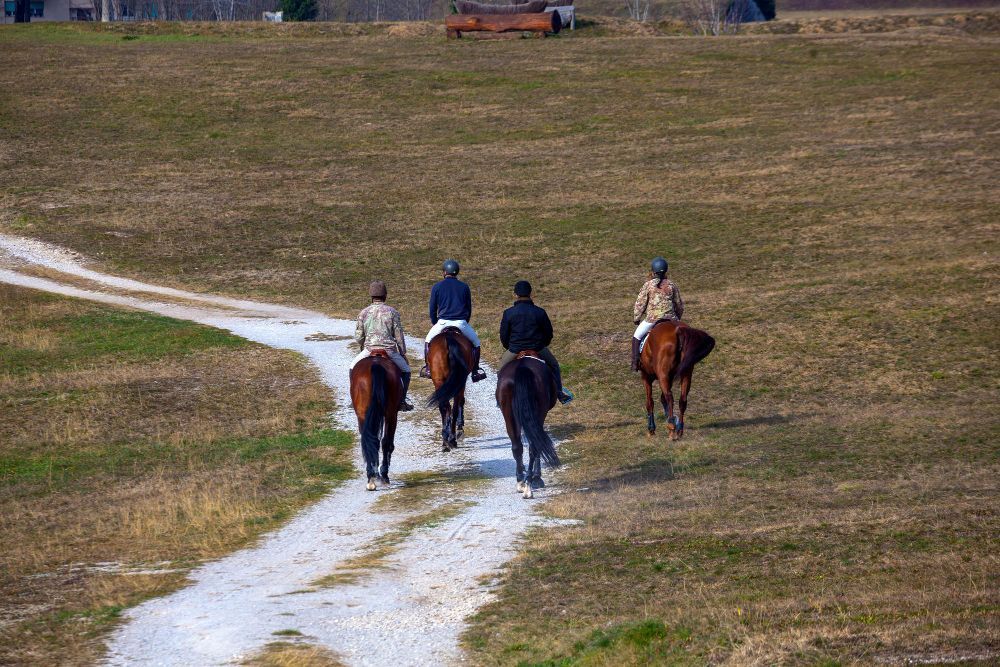 A Complete 4-Day Itinerary For The Kentucky Bourbon Trail