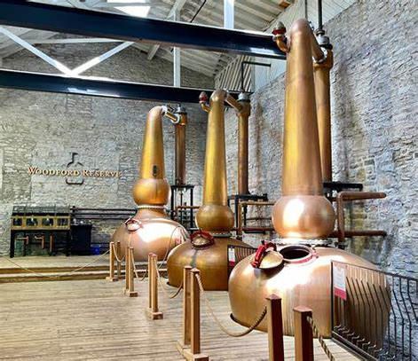 A row of copper distilleries are lined up in a room.