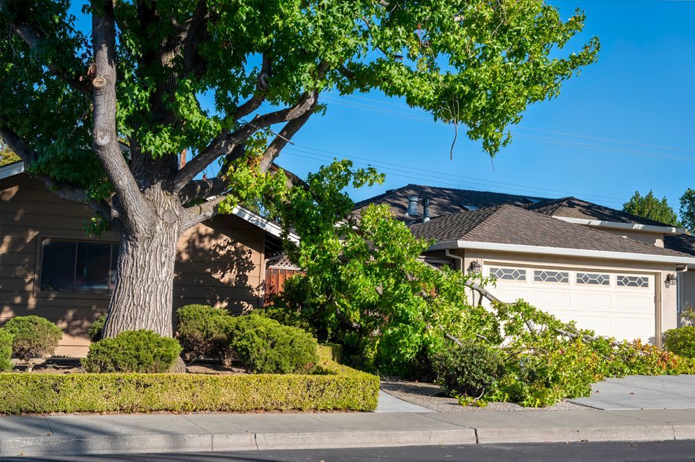 Tree branch fallen on a house, blocking driveway and roof; sunny day.