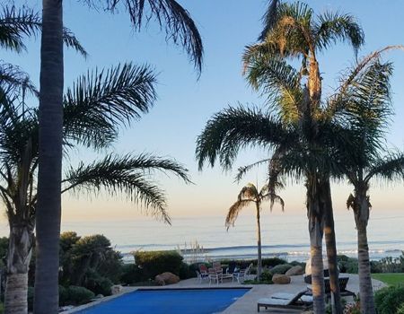 Palm trees frame a view of the ocean, pool, and lounge chairs, under a blue sky.