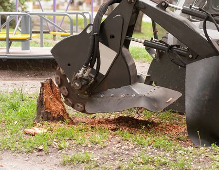 A machine is cutting a tree stump in the grass.