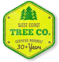 The west coast tree co. is a certified arborist for 30+ years.