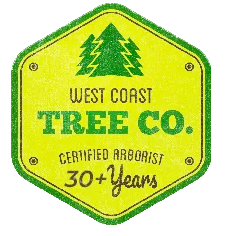 The west coast tree co. is a certified arborist for 30+ years.