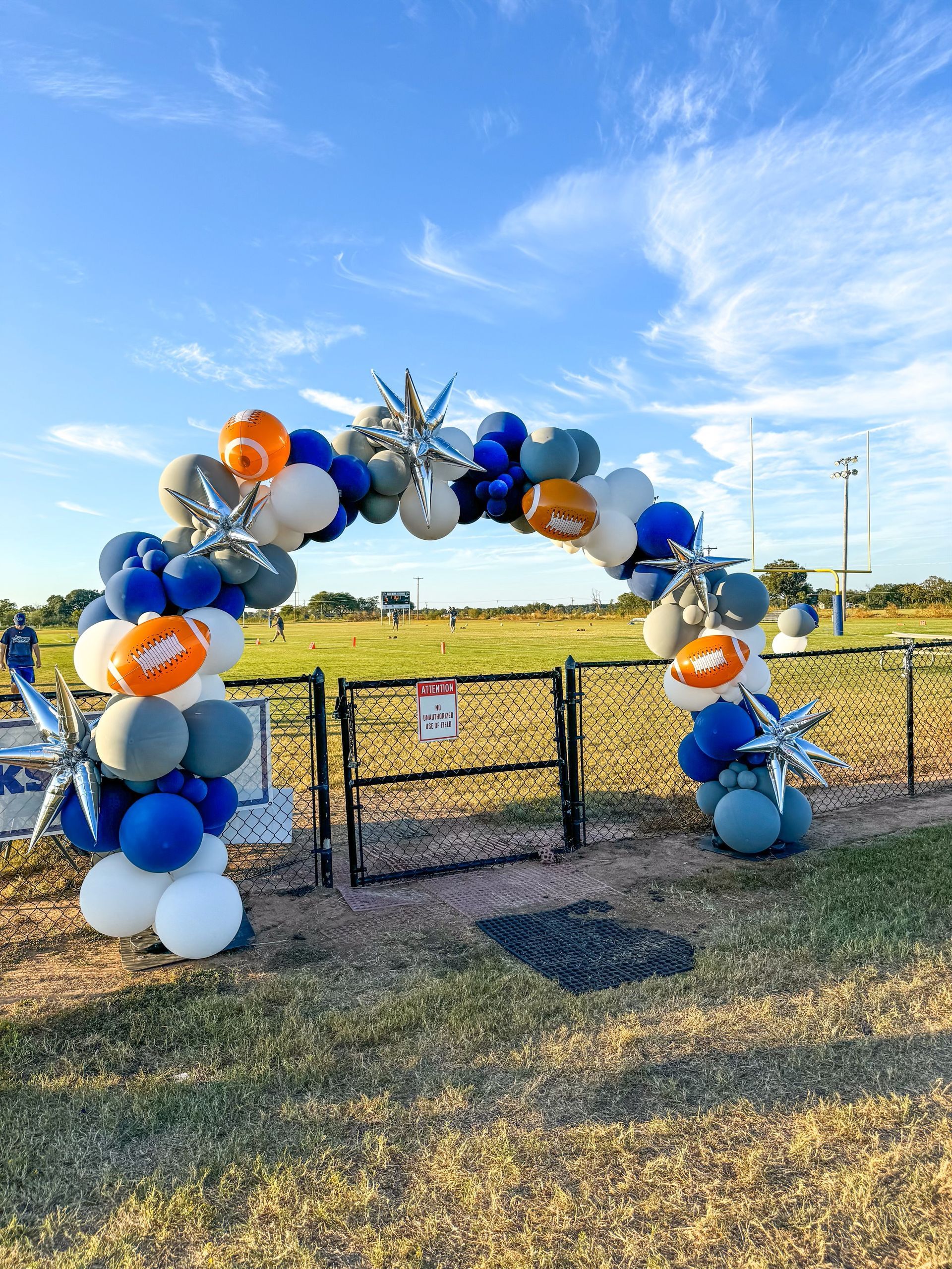 A balloon arch is sitting in the middle of a field.