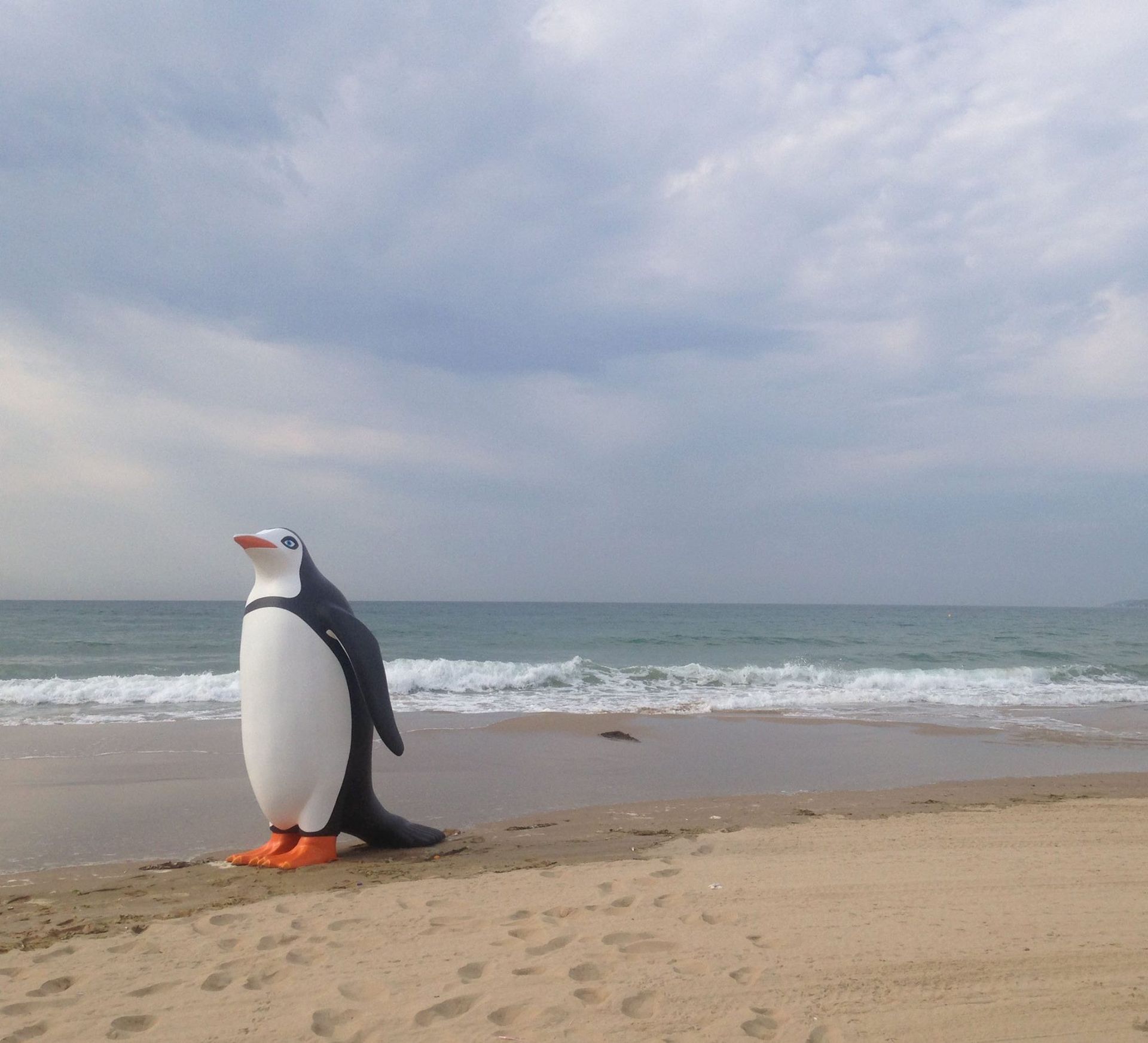 Front view of 3D printed humbug penguin prop