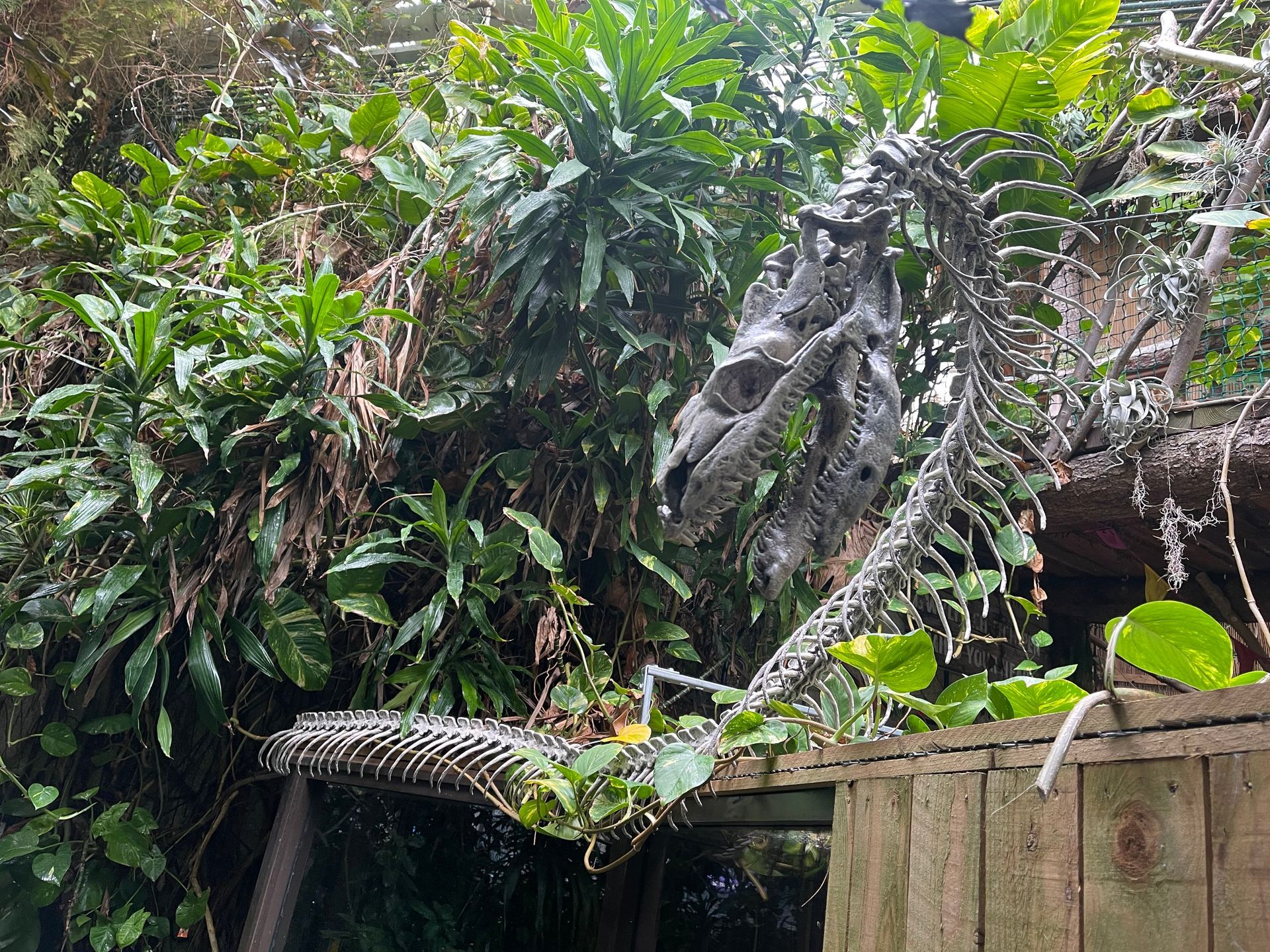 Side angle of 3D printed dinosaur prop