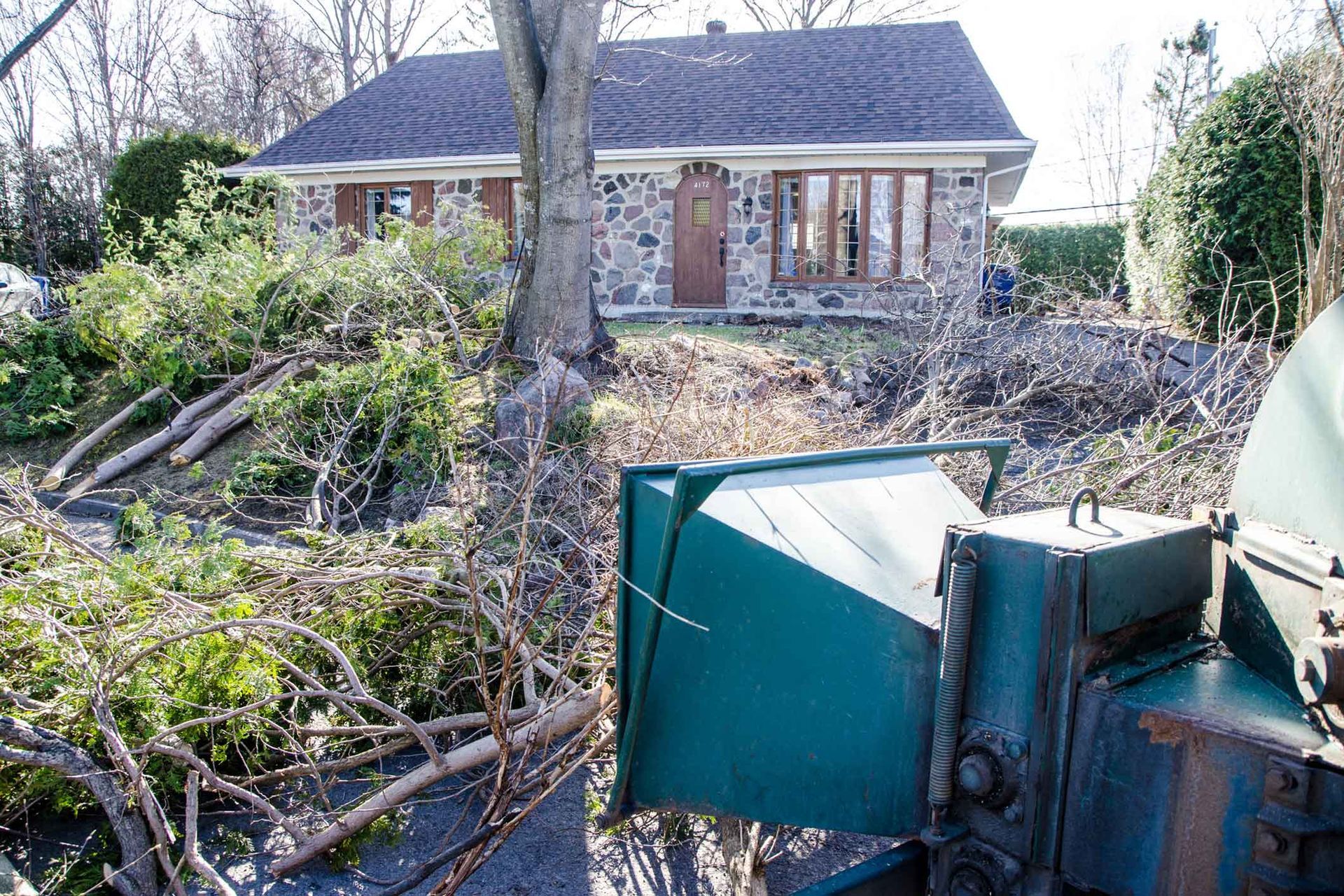 A house with a lot of branches in front of it