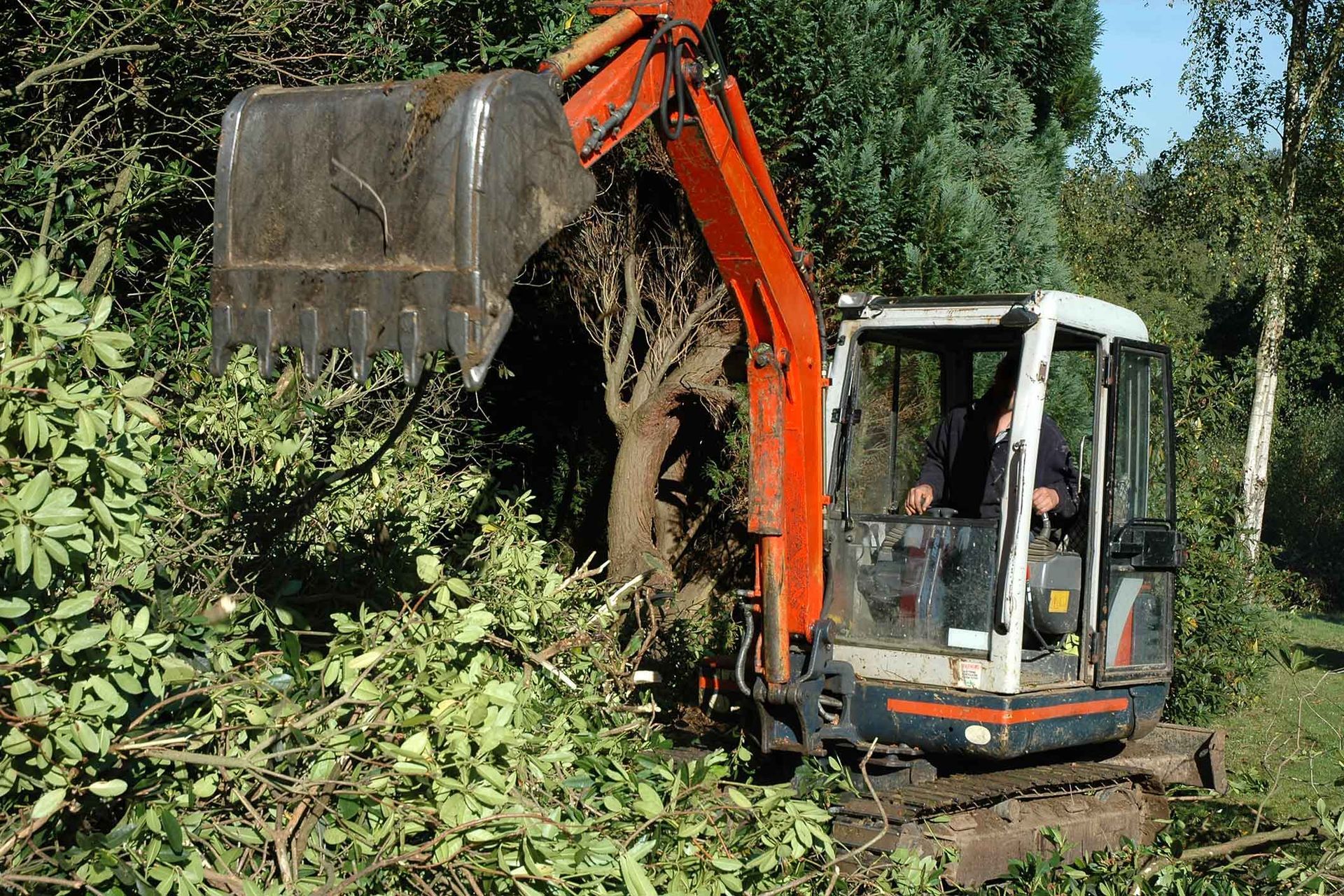 A man is driving a small excavator through a forest.