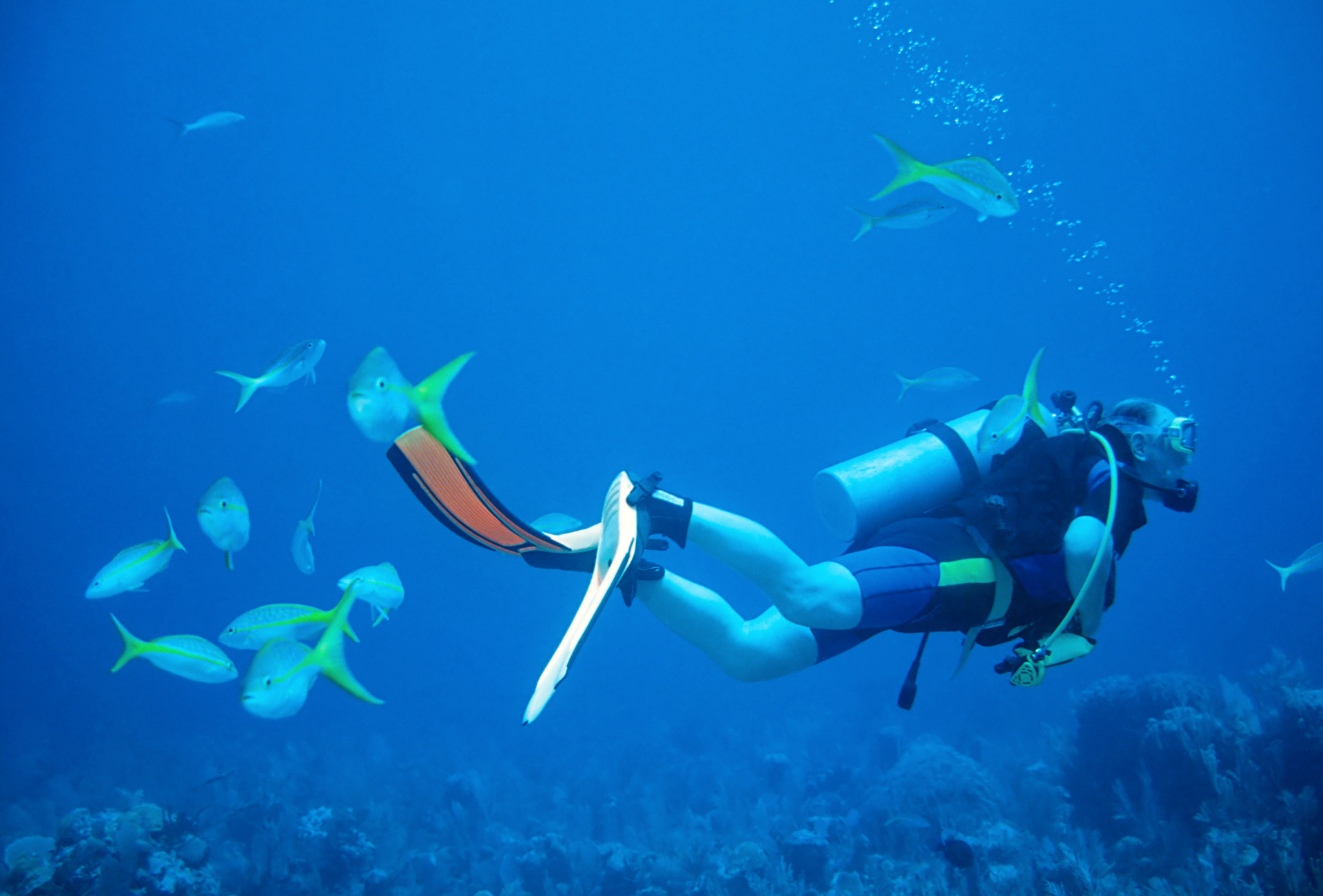 A group of people are jumping into the ocean from a boat.