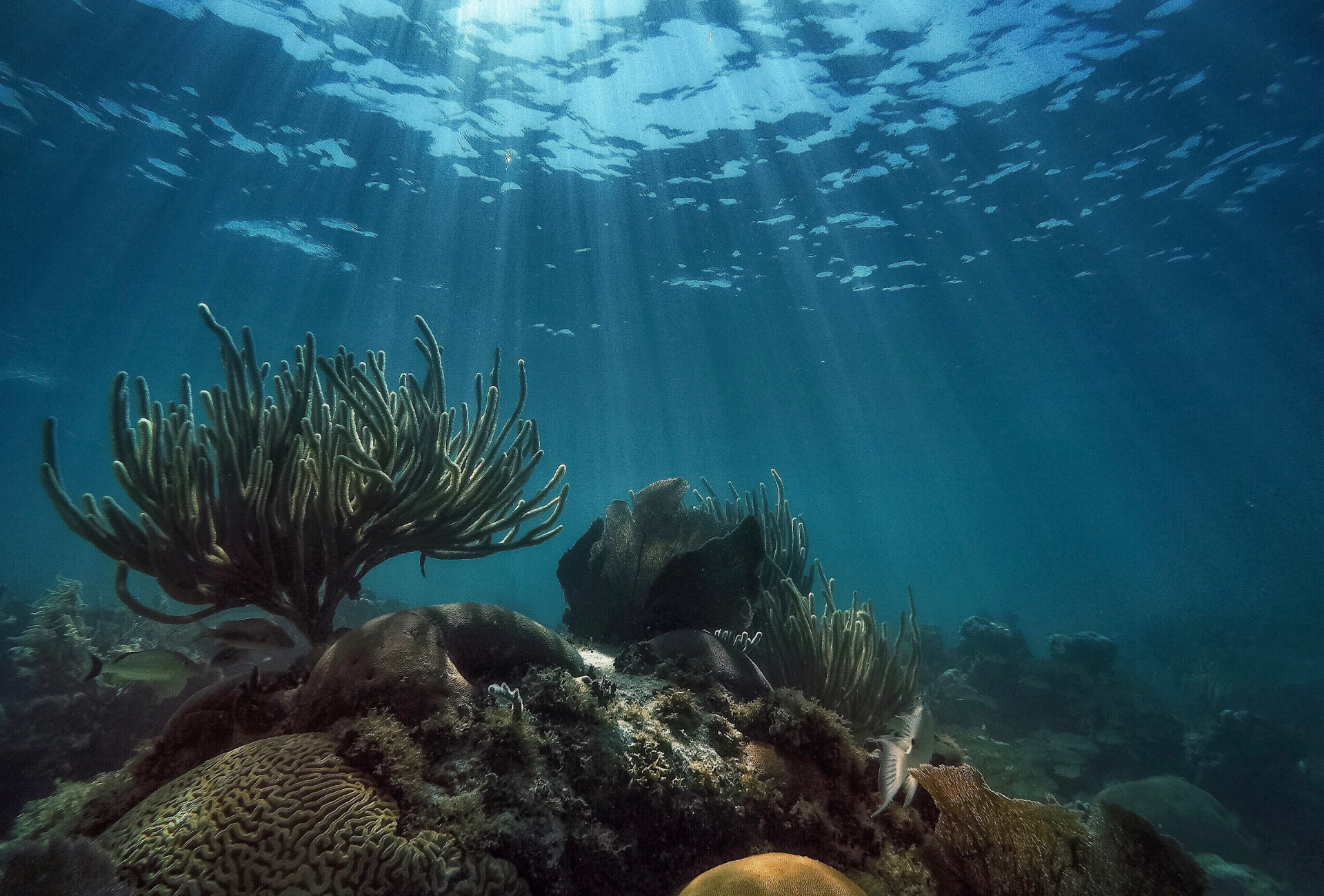 A lighthouse on a small island in the middle of the ocean at sunset.