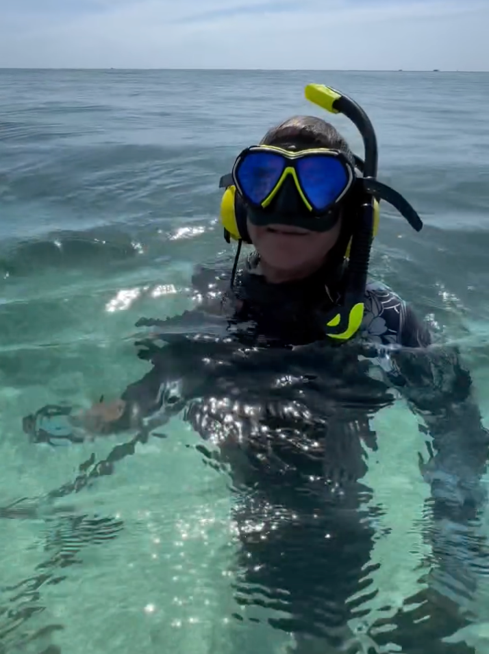 A person snorkeling in clear ocean water, wearing a blue and black mask, black wetsuit, and yellow snorkel.