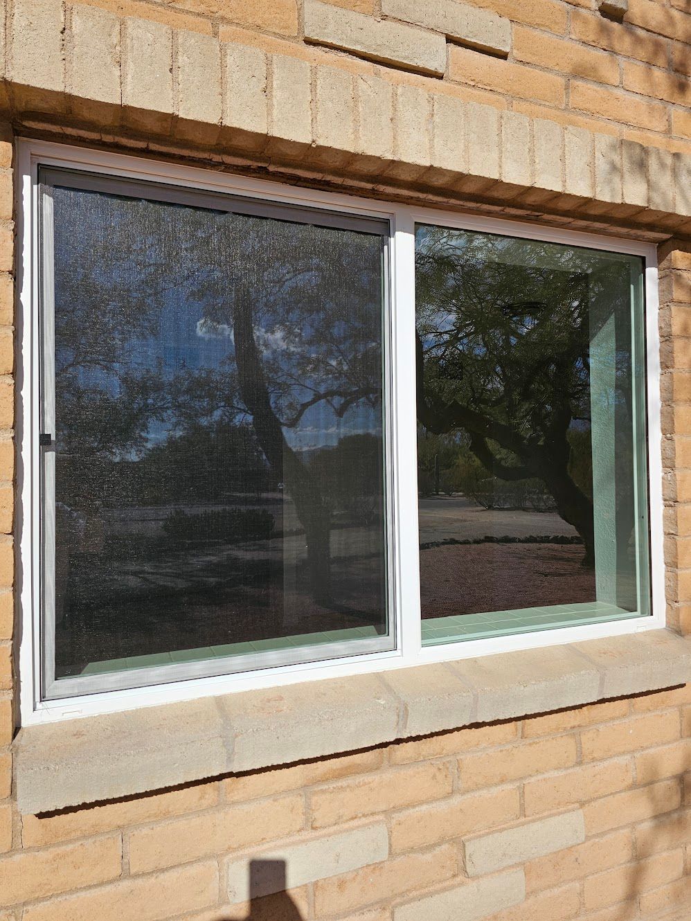 White-framed horizontal window in a brick wall. One panel is closed, reflecting a tree; the other is open.