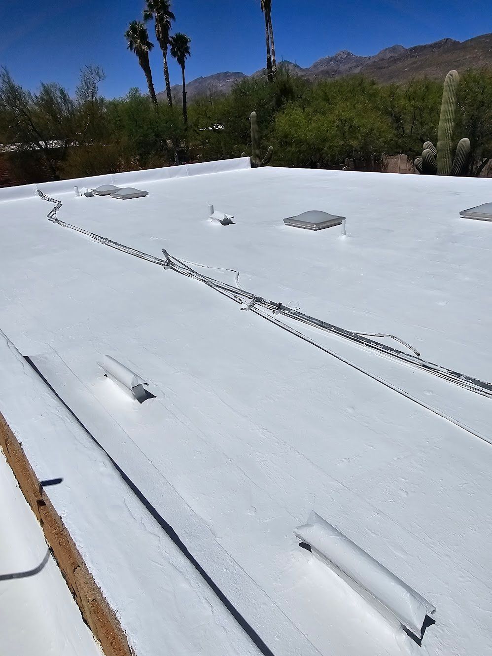 White flat roof with skylights, surrounded by desert vegetation and mountains under a bright blue sky.