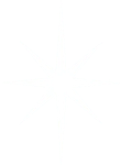 Symbolet i logoen til North Star Fireworks