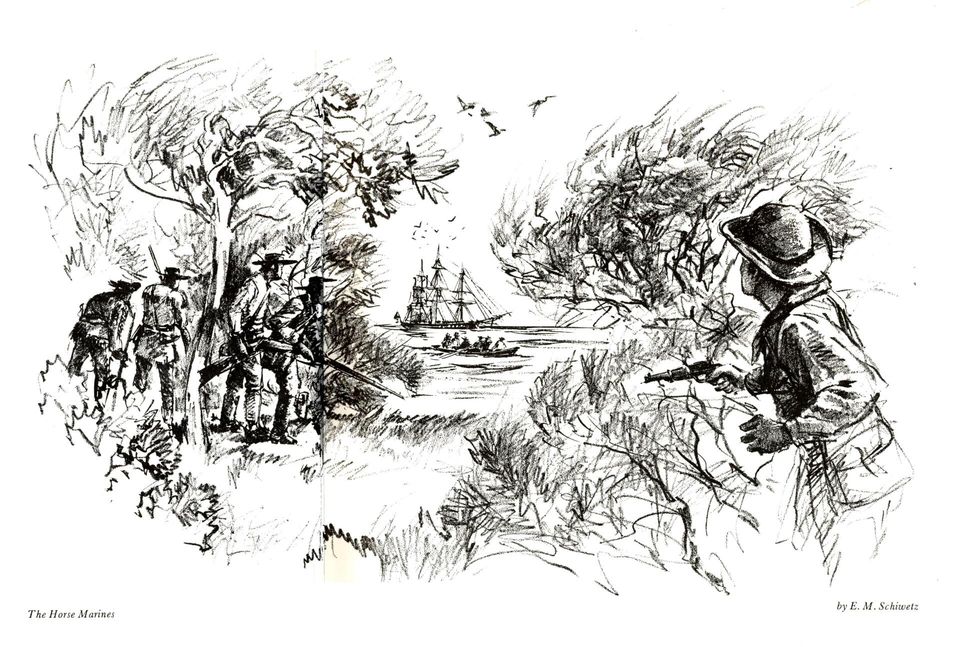 The Horse Marines, illustration by E. M. Schiwetz