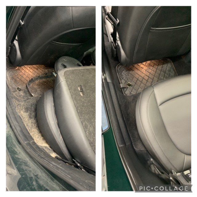 Mini Cooper Pet Removal at The New Car Image