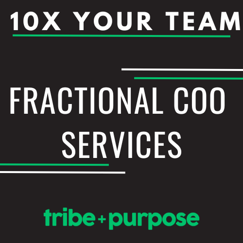 Fractional COO Services