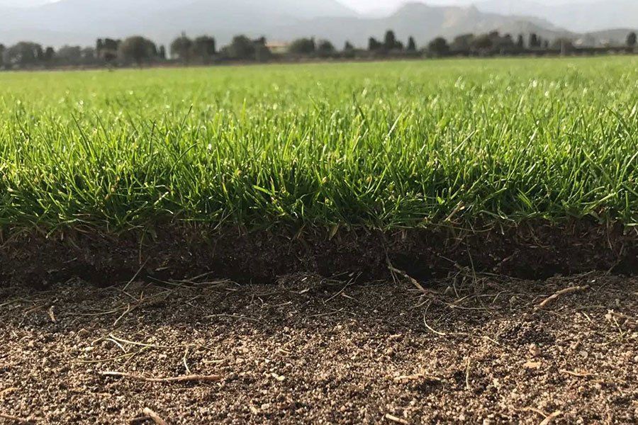 analisi in terreno agricolo