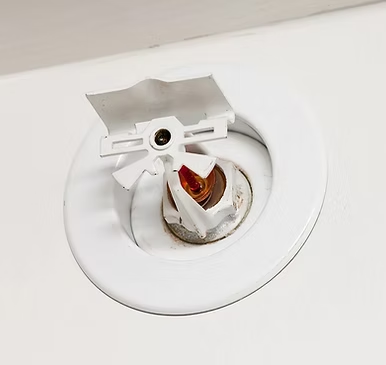 A white fire sprinkler head mounted on a white ceiling with a small red glass bulb trigger.