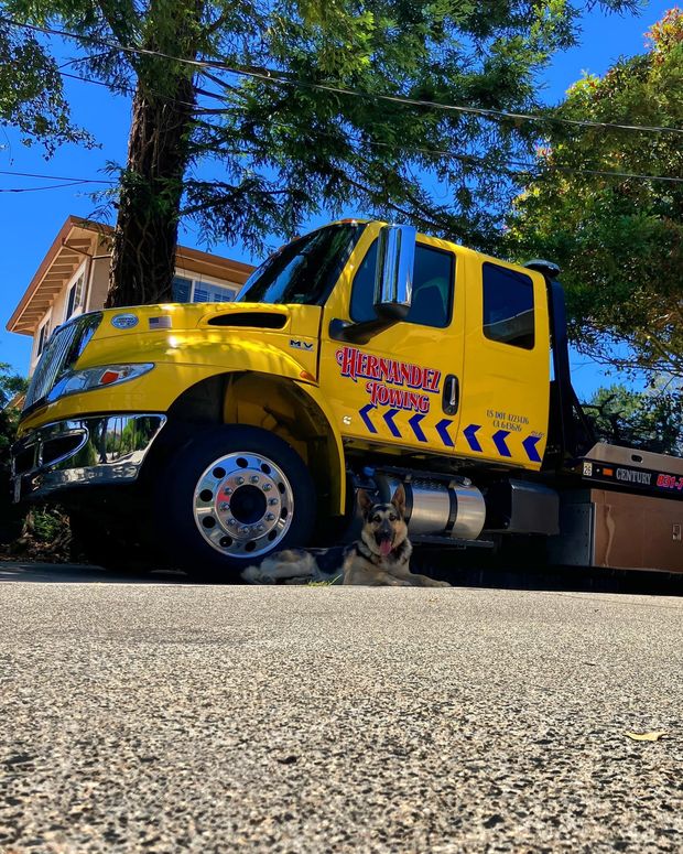 Yellow tow truck with a dog in front. Tree, building, and pavement in view. Yellow tow truck with a dog in front. Tree, building, and pavement in view.