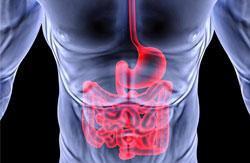 DR. J. HÉCTOR GARCÍA MUNGUÍA