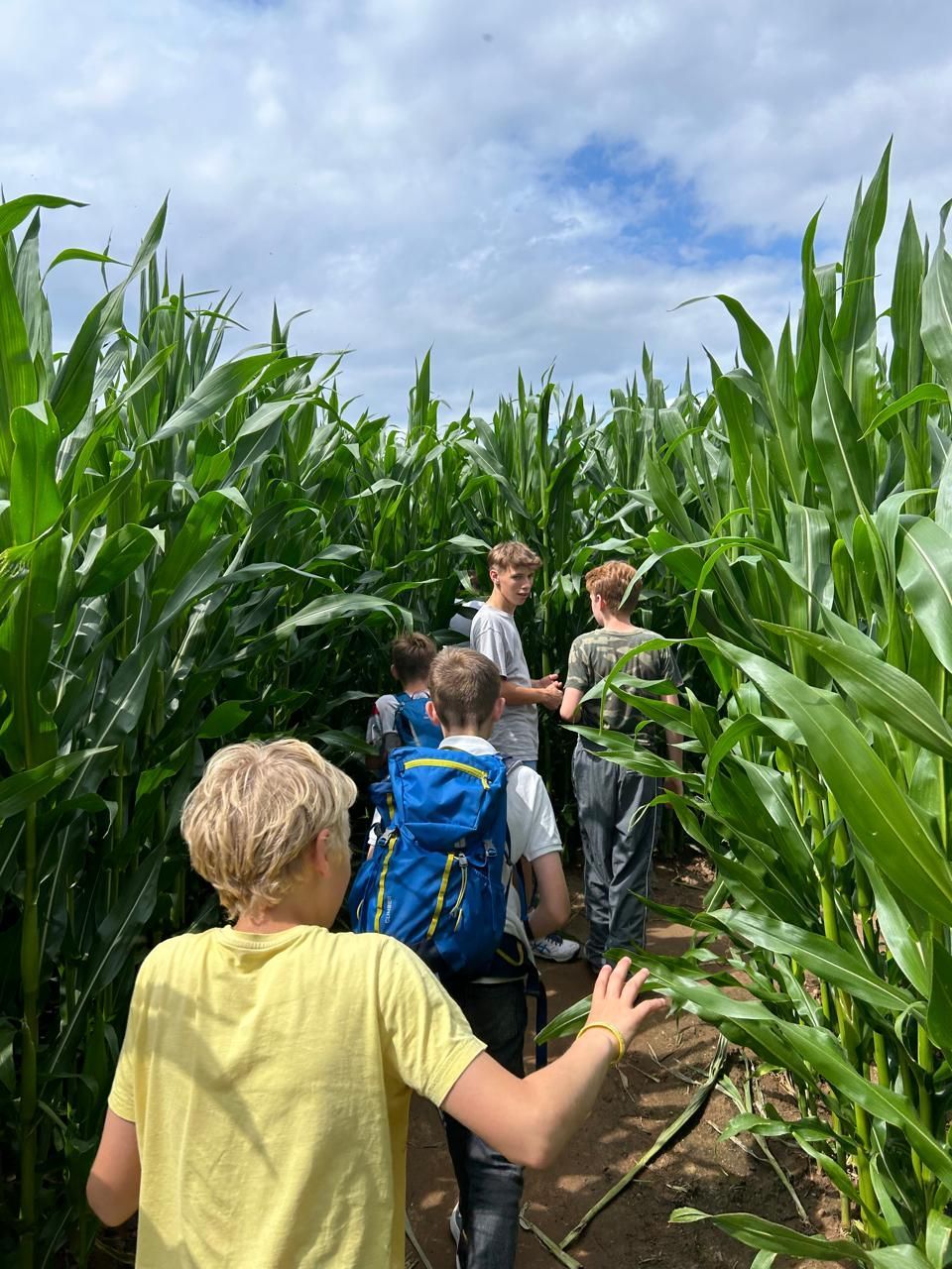 Menschen, die an einem leicht bewölkten Tag durch ein hohes Maislabyrinth spazieren.