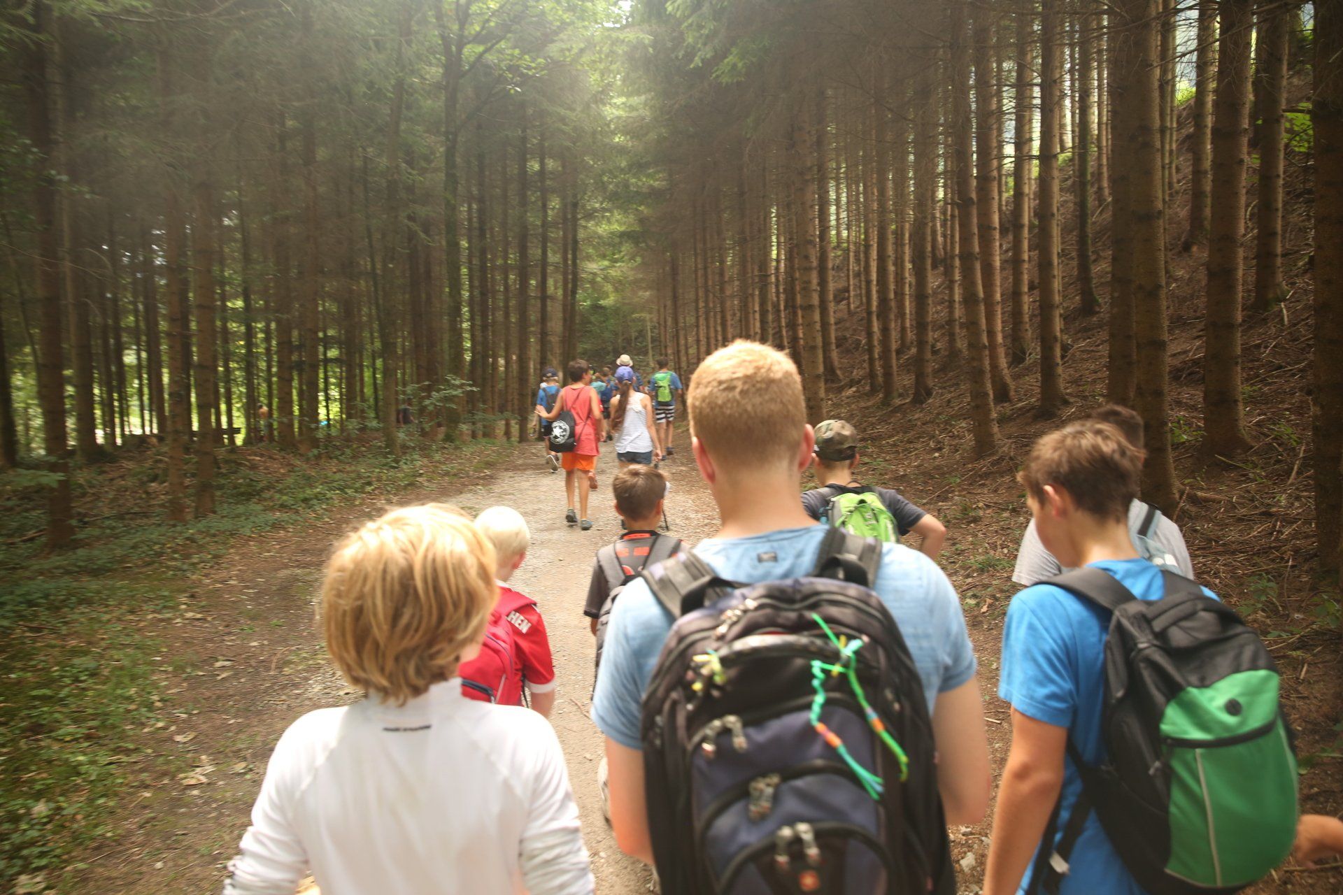 Eine Gruppe von Menschen geht einen Pfad im Wald entlang.