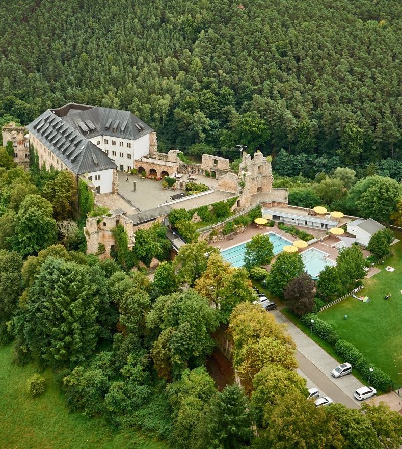 Mitten auf einem Feld steht eine Burg, umgeben von Bäumen und Gras