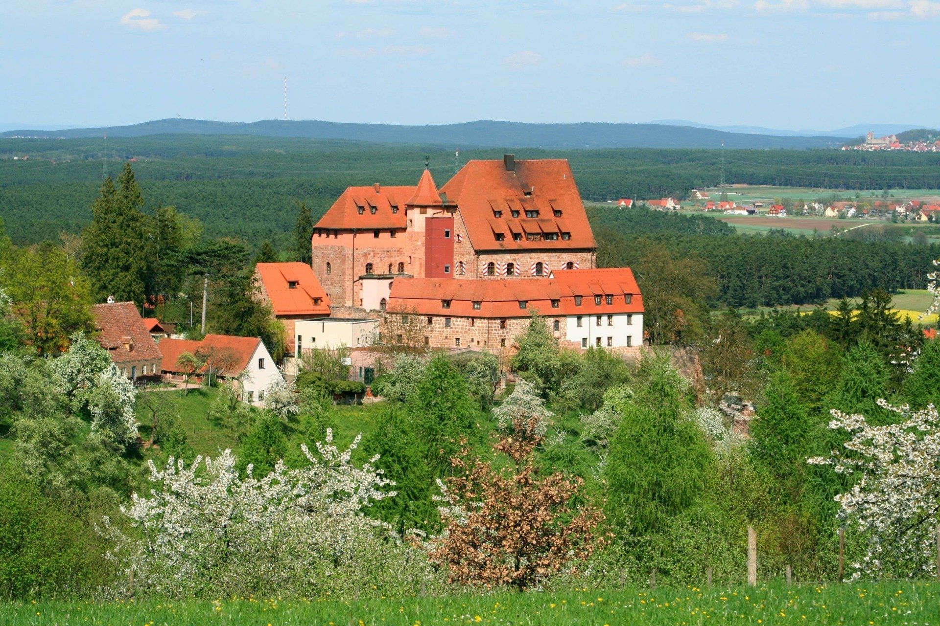Mitten auf einem Feld steht eine Burg, umgeben von Bäumen und Gras