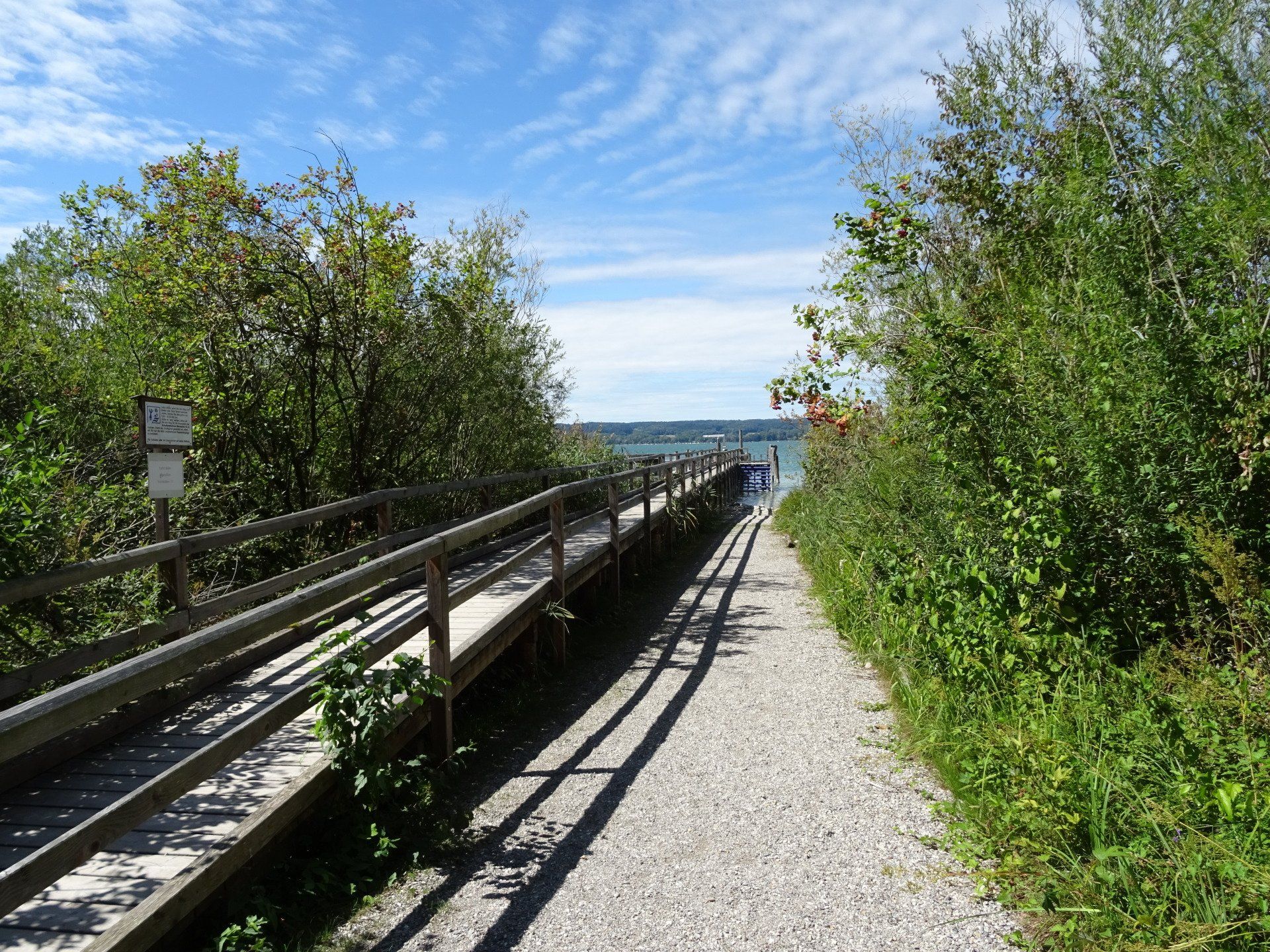 ein Holzsteg, der zum Meer führt, mit Bäumen auf beiden Seiten