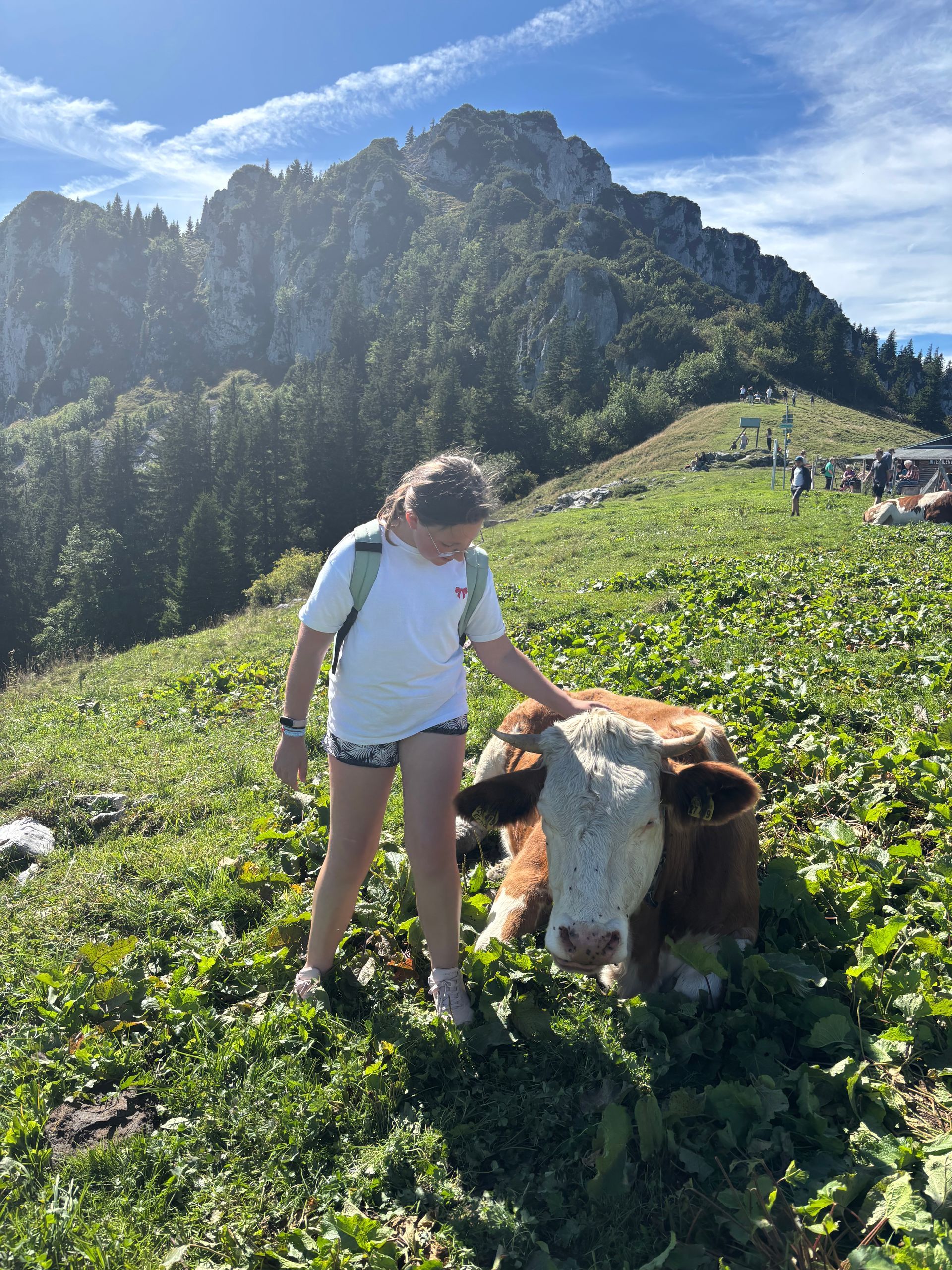 Ein Mädchen streichelt eine braun-weiße Kuh auf einer grünen Wiese vor einer Bergkulisse.