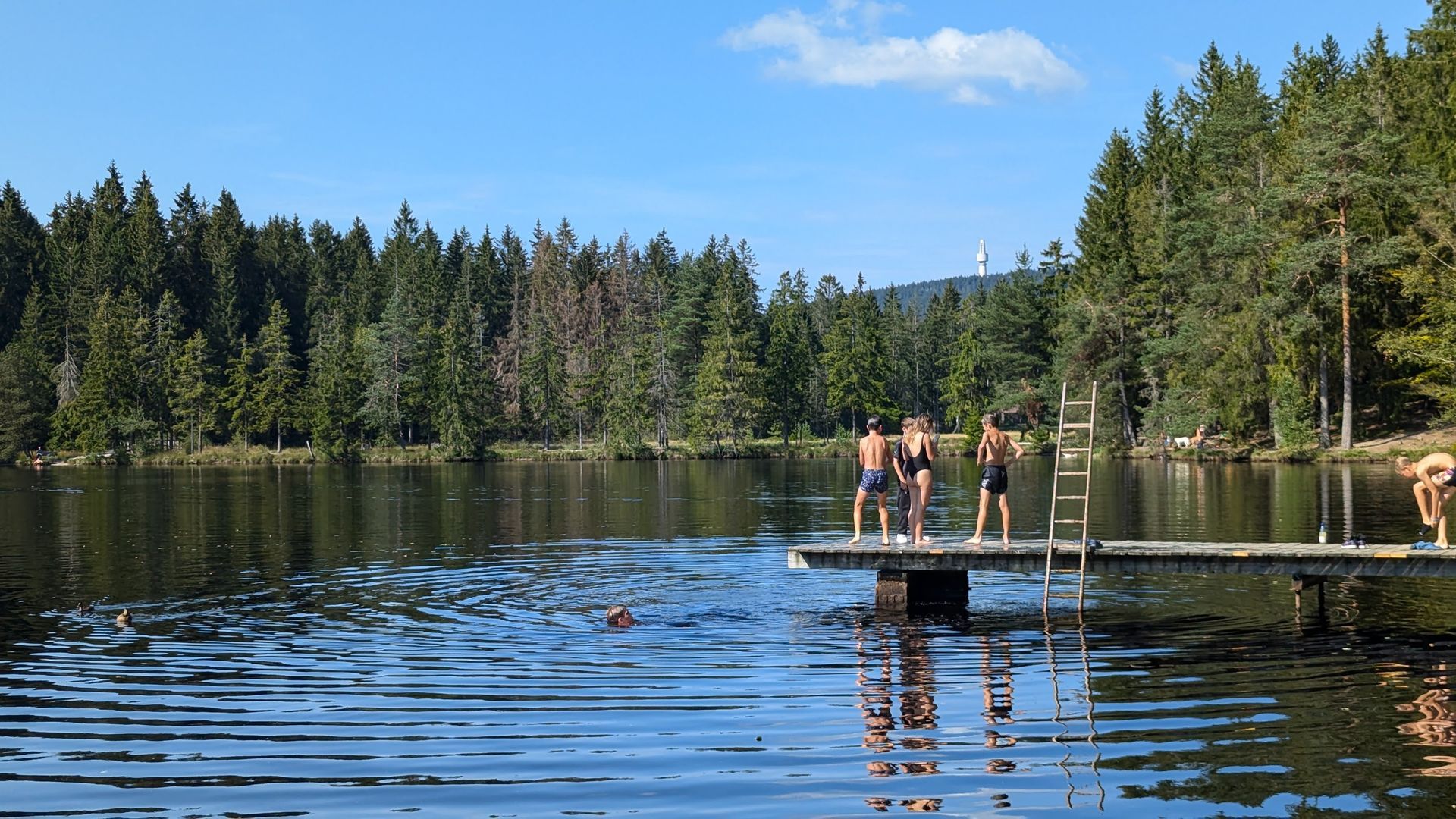 Menschen auf einem Steg bereiten sich darauf vor, in einen von Bäumen umgebenen See unter blauem Himmel zu springen.