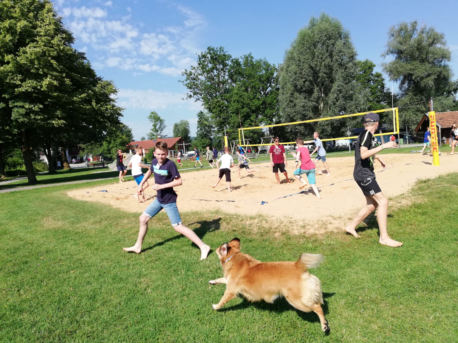Eine Gruppe von Menschen spielt in einem Park Volleyball, im Vordergrund ein Hund