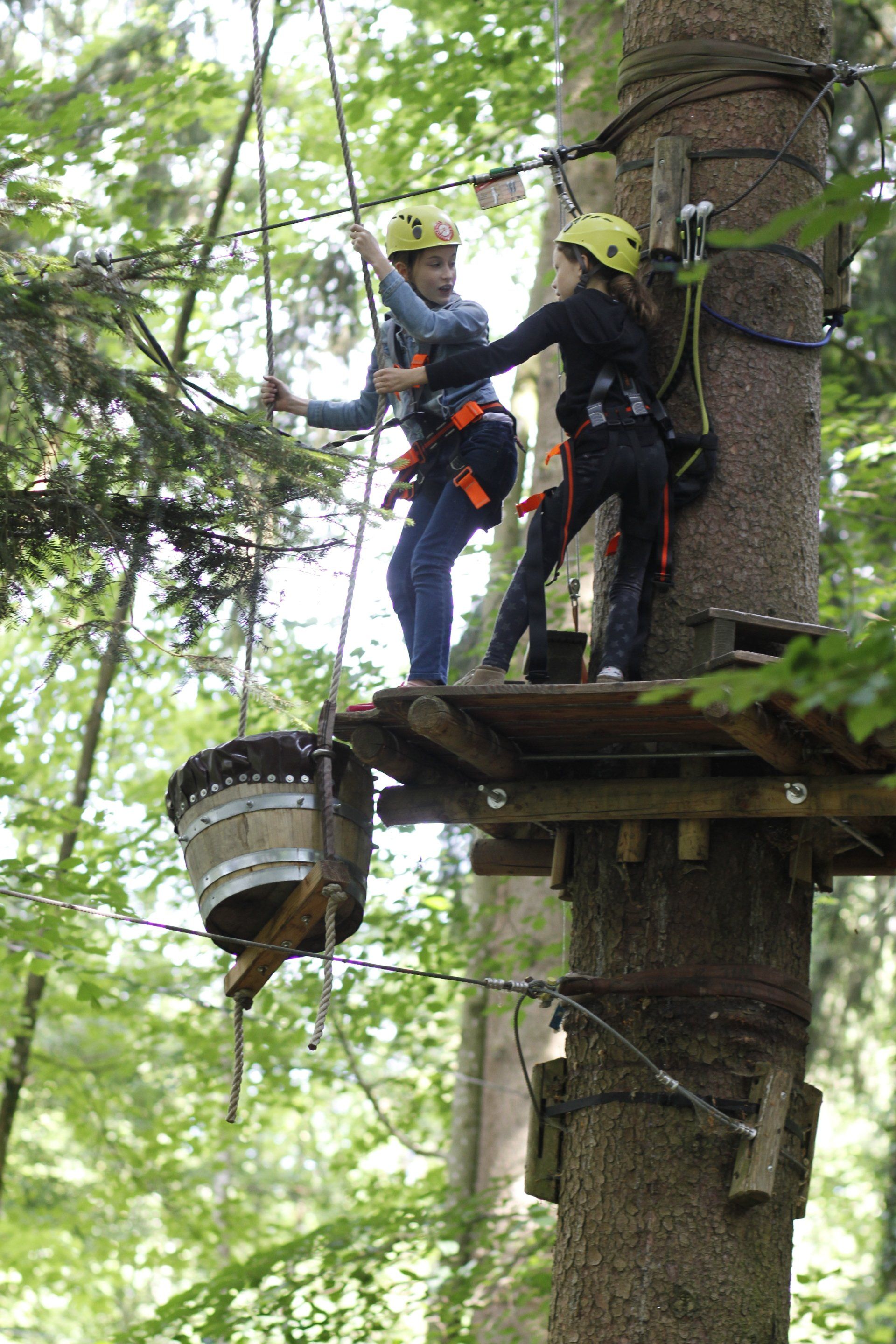 Zwei Personen klettern auf einen Baum, an dem ein Eimer befestigt ist.