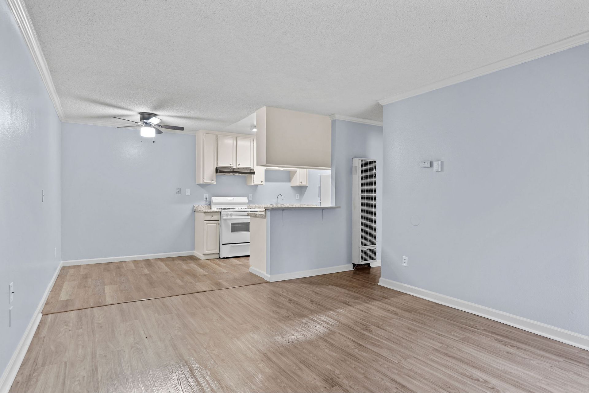 Empty light-blue apartment living room with wood floors and a small kitchen area