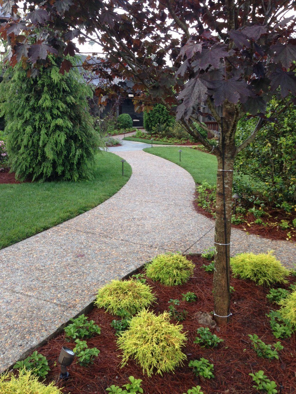 Concrete Pathway With Trees At The Side — Horseshoe, NC — Carolina Concrete Designs Inc