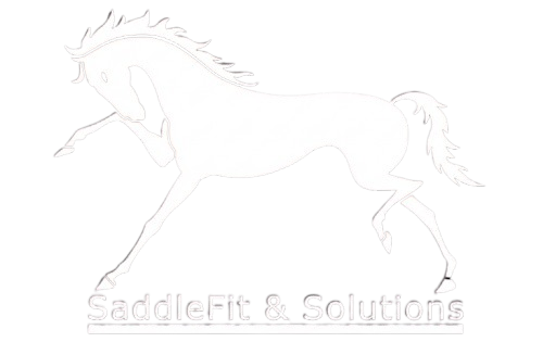 Outline of a running horse, with "SaddleFit & Solutions" text below.