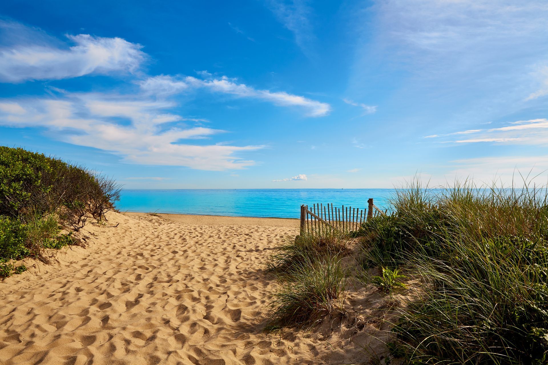 There is a path leading to the beach and the ocean.