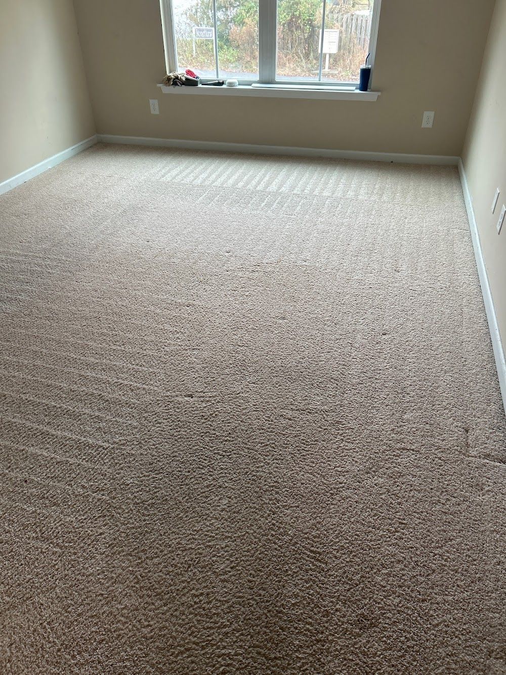 Empty beige-carpeted room with a large window and gray walls.