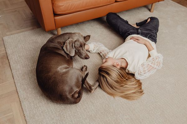 Child lying on carpet cuddling a gray dog beside an orange sofa