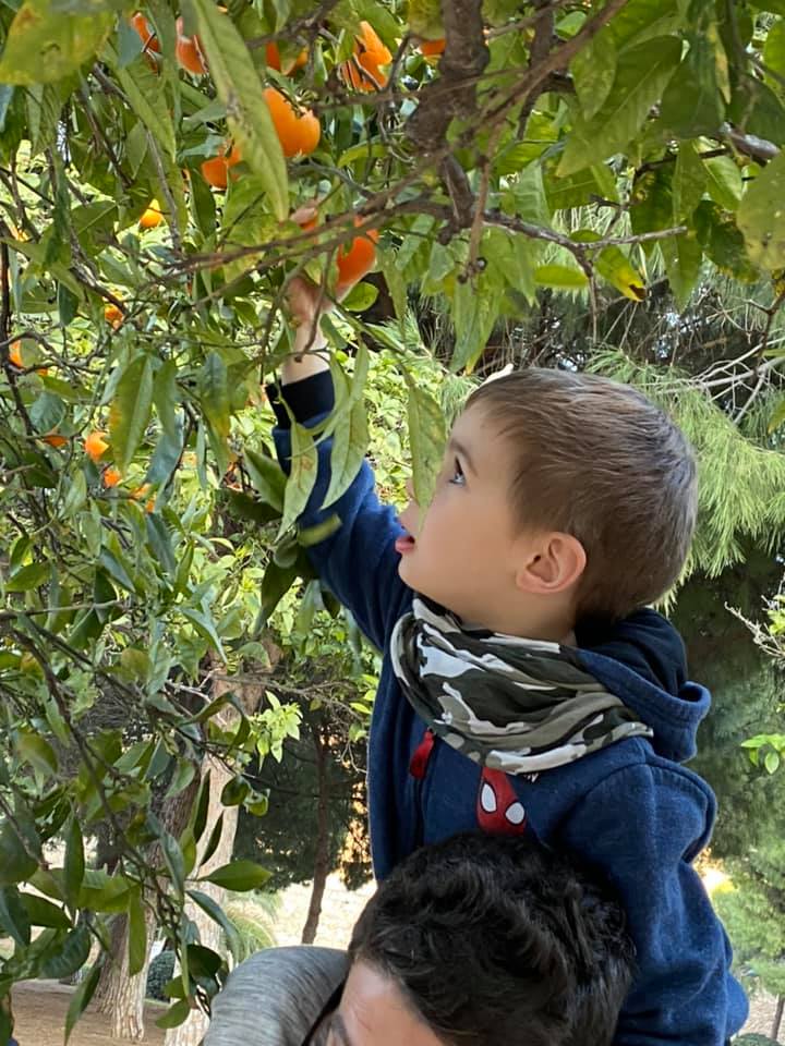 Bambino che tocca dei pomodori